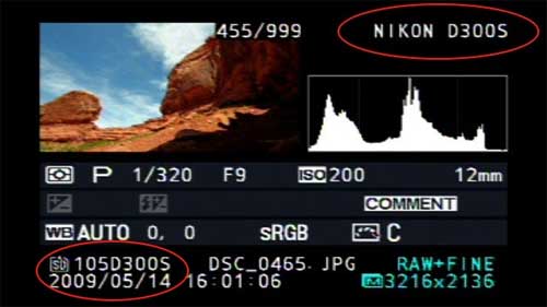 nikon_d300s_lcd-screen-rumour