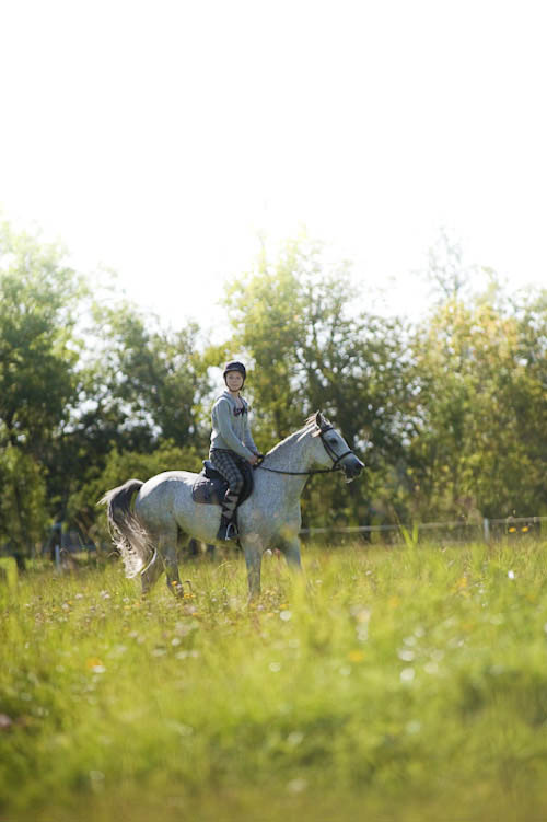Hästfotografering av tjej på häst ute på en äng i motljus. Fotograf Stefan Tell Hästfotografering av tjej på häst ute på en äng i motljus. Fotograf Stefan Tell