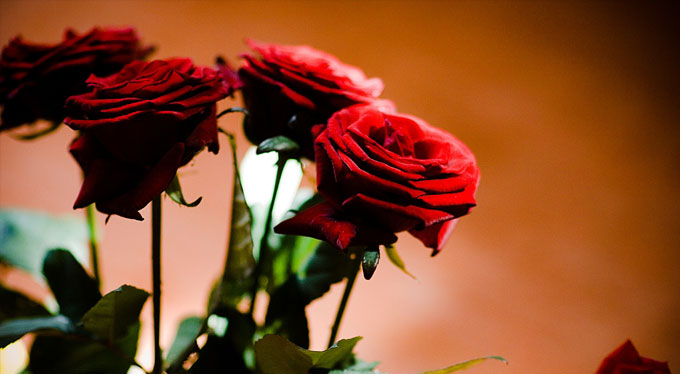 foto_brollop_wedding_klara_david_15