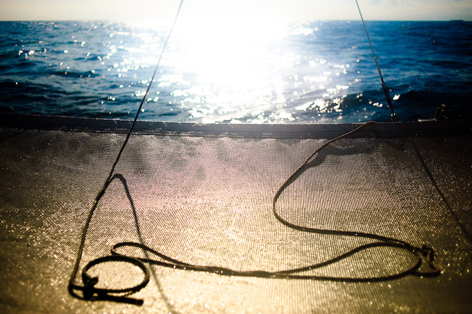 trimaran-2008_stefan-tell-239